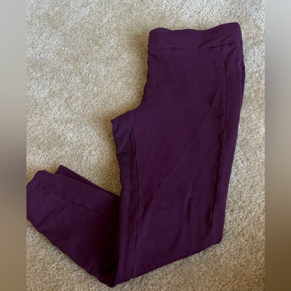 LOFT Women’s Purple Bottoms